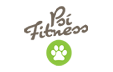 Psí fitness- posilování a balanční cvičení pro Vašeho psa!
